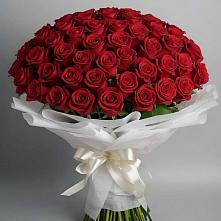 Букет 101 Красная роза Блэк Мэджик в Горный Тульская область