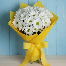 Букет цветов из:  Хризантемы в Горный Тульская область