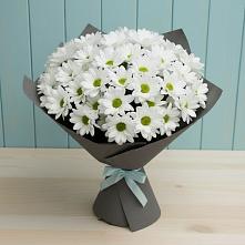 Букет цветов из:  Хризантемы в Горный Тульская область
