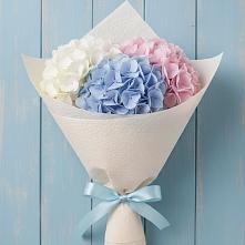 Букет цветов из:  Гортензия в Горный Тульская область
