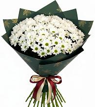 Букет цветов из:  Хризантемы в Горный Тульская область