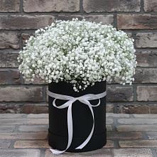 Цветочная композиция из Гипсофила в шляпной коробке в Горный Тульская область