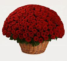 Премиум букет из: Розы #REPLACE_PRED# Горный Тульская область